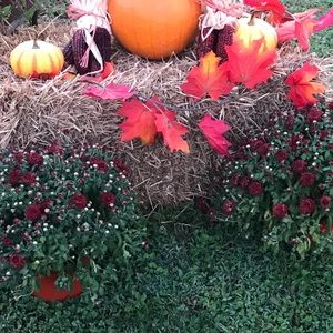 Meet your Posher, Karen